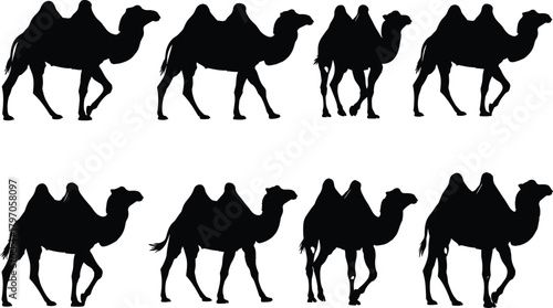 Camel Dromedary Desert Animal Silhouette Set Vector Illustration Graphic Art Design Outline Sketch Symbol Travel Africa.