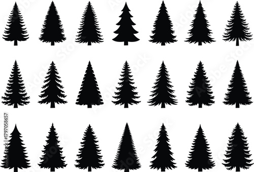 Pine Tree Fir Christmas Collection Set Silhouette Vector Illustration Graphic Art Design Outline Sketch Symbol Forest Nature.
