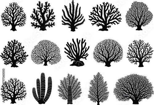 Underwater Coral Seaweed Algae Silhouettes Set Vector Illustration Graphic Art Design Outline Sketch Symbol Aquatic Reef Habitat.