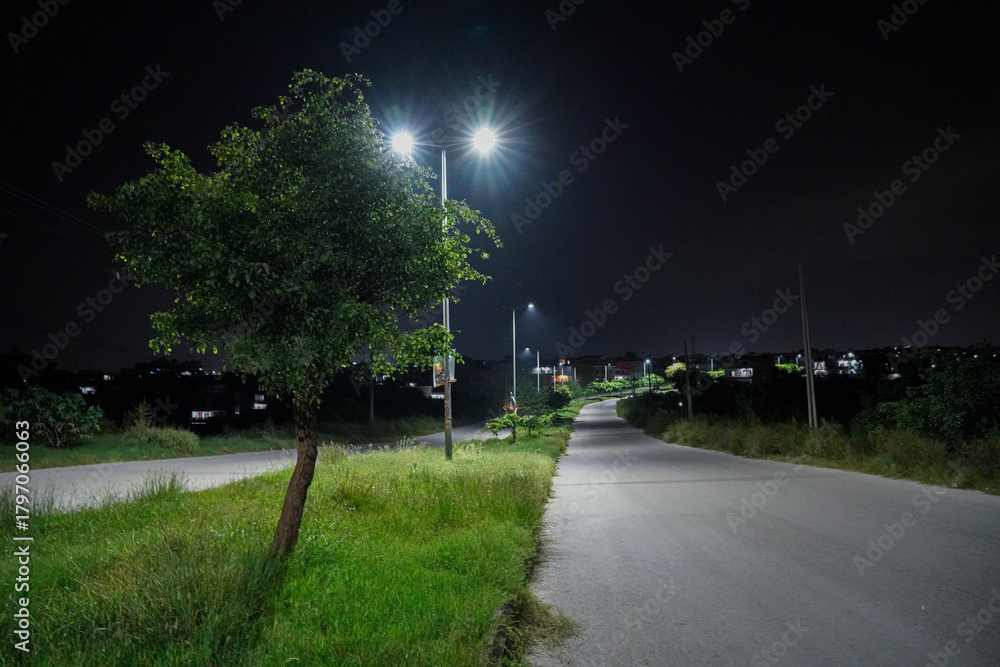 Obraz premium night road in the park