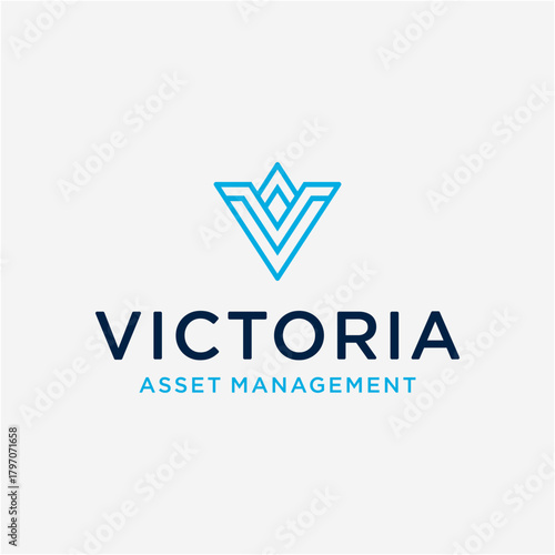 V Minimalist Brand Logo