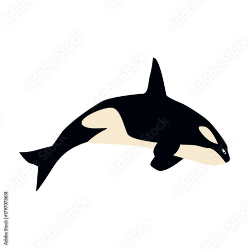 Whale on a white background. Cute animal. Vector illustration.