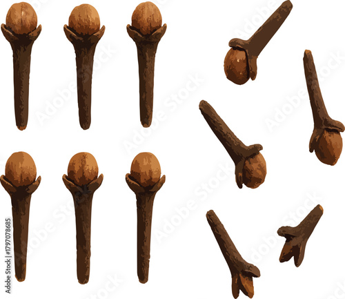 Collection of whole dried cloves spice seasoning