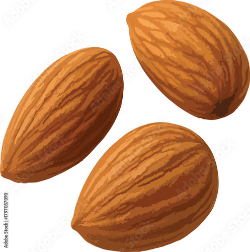 Three Brown Almonds Isolated on White Background nuts