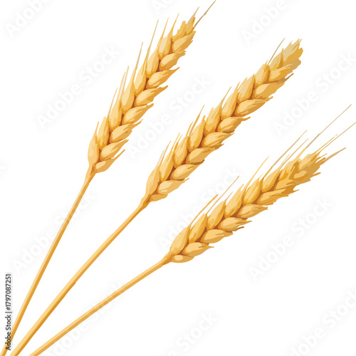 Three golden wheat stalks with detailed grains yellow