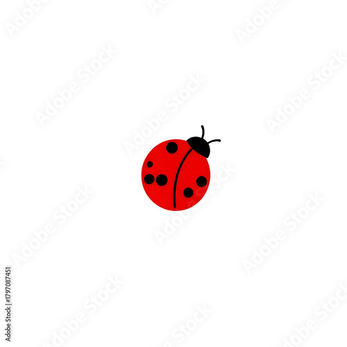 ladybug on white background