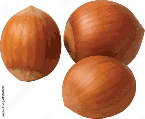 Three whole hazelnuts with brown shells food ingredient