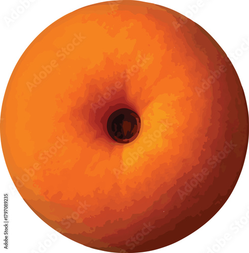 Top view of a single ripe orange peach fruit food