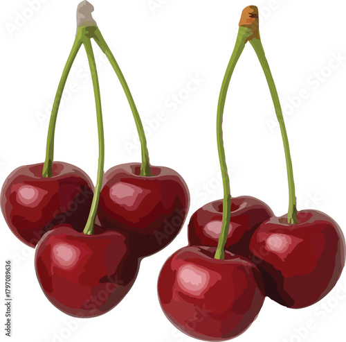 Two bunches of ripe red cherries with green stems cherry