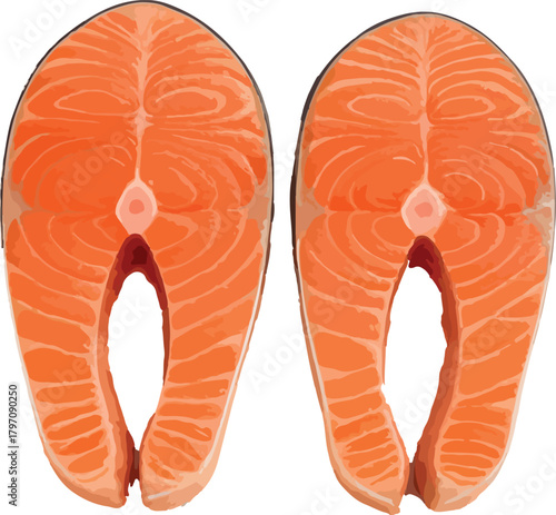 Two Raw Salmon Steaks With Orange Flesh and White Marbling