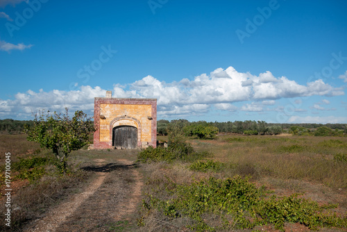 Fotografía manduria is a city in Puglia famous for Primitivo di Manduria, one of Italy's most celebrated red wines