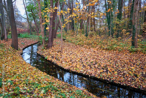 Spiegelung eines fließenden Gewässers in der Herbstlandschaft
