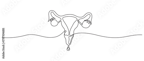 Continuous Line Drawing of Female Reproductive System with Drop,Continuous one line drawing of women's Uterus and Ovary.
