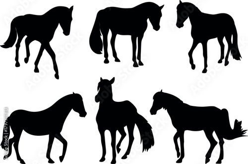Six horse silhouettes on a white background