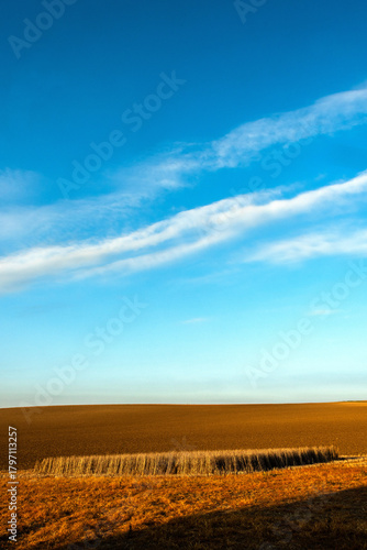 Plowed field and dry grass under a clear blue sky in a countryside. Auvergne. France