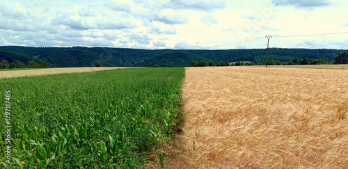 Bilde på lerret Sommerlandschaft oberhalb von Spay am Rhein auf dem  Premium-Wanderweg Rheingoldbogen