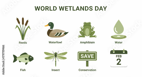 Eight green icons illustrating World Wetlands Day elements reeds waterfowl amphibian water fish insect conservation and February 2nd