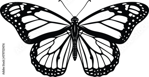Detailed Monarch Butterfly Line Art  Symmetrical Black and White Insect Illustration with Elegant Wings and Natural Wildlife Design