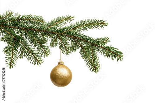 single gold bauble hangs delicately from a lush green fir branch, creating a simple yet festive holiday decoration against a clean white background