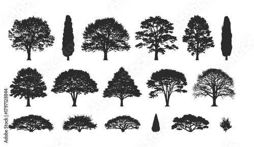 Collection of diverse tree silhouettes in various shapes and sizes including deciduous and evergreen varieties