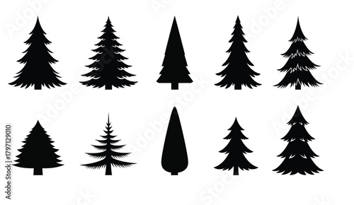 Collection of diverse black silhouette evergreen coniferous trees on a white background