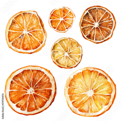 My hand-painted Watercolor illustration, vector illustration set, dried orange slices painting illustration isolated on a white background, illustration, AI painting design, eps format