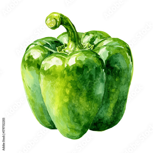 My eps format hand-painted Watercolor illustration, vector illustration set, green bell pepper painting illustration isolated on a white background, illustration, AI painting design