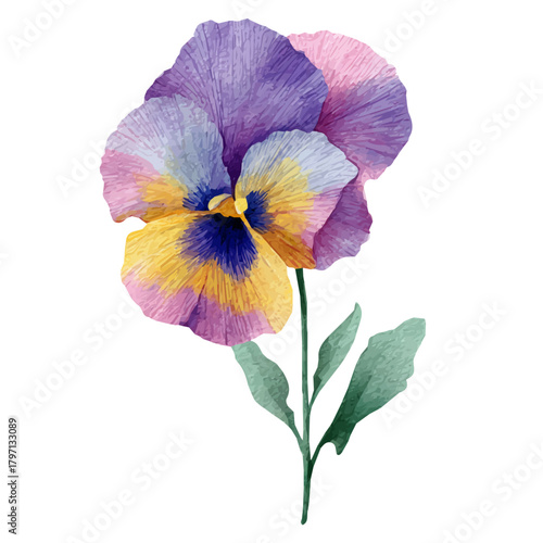 A watercolor spring pansy flower painting illustration isolated on a white background, purple pansy flower illustration, EPS format design