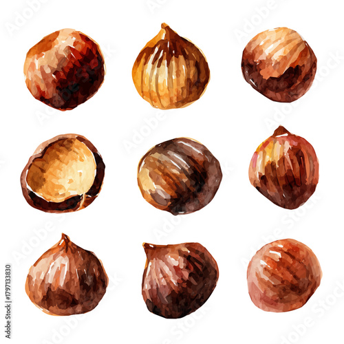 A watercolor roasted chestnuts painting illustration isolated on a white background, roasted chestnuts illustration, EPS format design