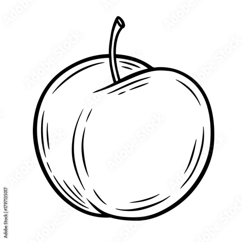 Hand drawn plum, monochrome engraving, line art style vector illustration isolated on white background