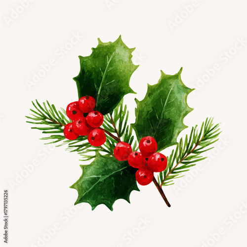 A beautiful watercolor, simple Christmas holly berries with pine leaves isolated on a white background, Hand-painted watercolor design, vectorized, painting style, vector set available in EPS format.
