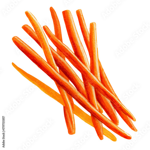 A beautiful watercolor carrot sticks isolated on a white background, Hand-painted watercolor design, vectorized, painting style, vector set available in EPS format