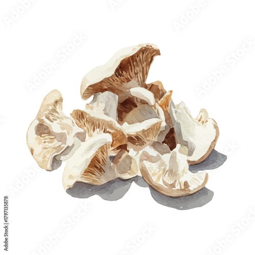 A Watercolor_style_painting_of_chopped_mushrooms, Watercolor_simple_design_EPS_format_set