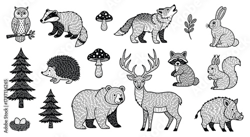 A whimsical woodland gathering an owl perched on a branch, a badger, mushrooms, a howling fox, a rabbit, trees, a hedgehog, a bear, a deer, and other forest creatures