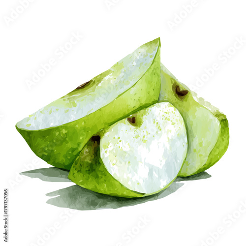 A Watercolor_style_painting_of_green_apple_slices_Watercolor_simple_design_EPS_format_set