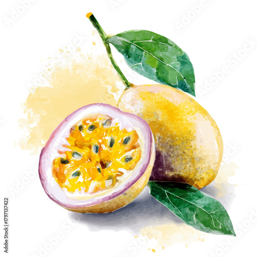 A Watercolor_style_painting_of_halved_passion_fruit, Watercolor_simple_design_EPS_format_set