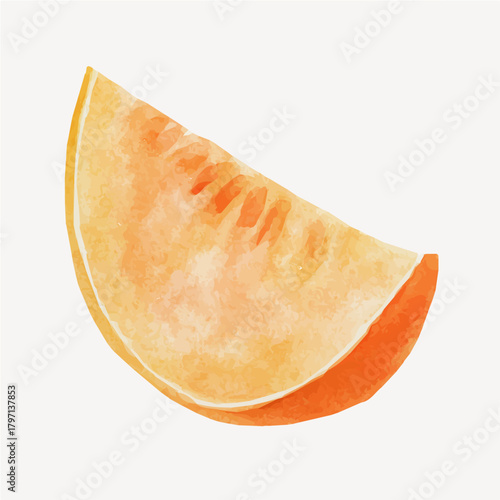 A Watercolor_style_painting_of_melon_wedge_in_soft, simple eps format illustration, Watercolor_style