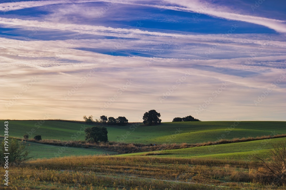 Fototapeta premium Beautiful landscape with rolling hills and clouds during sunset in a serene countryside setting