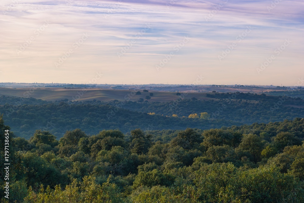 Obraz premium Scenic landscape showing lush green trees and rolling hills during golden hour in a peaceful rural area