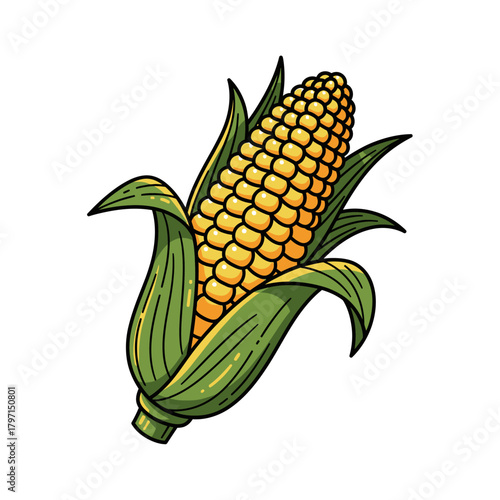 A vibrant illustration depicts a ripe corn on the cob, encased in green husks, against a white background