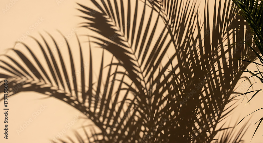 Obraz premium Dynamic interplay of sunlight and lush palm leaf shadows dancing gracefully on a textured wall, creating an organic abstract pattern perfect for serene backgrounds and artistic inspiration