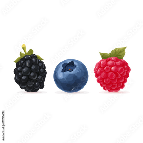 Very Simple flat 2D illustration of Black Mulberry, blueberries, raspberries isolated on a white background, vector  icon set, simple design in a flat design, 2D illustration, EPS format design