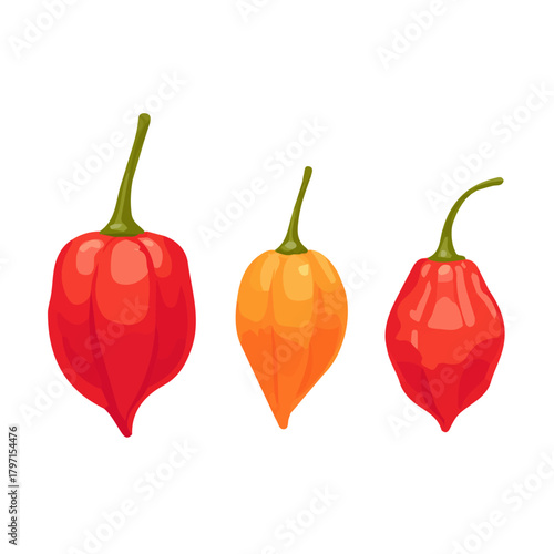 Very Simple flat 2D illustration of habanero chilli isolated on a white background, vector icon set, simple design in a flat design, 2D illustration, EPS format design