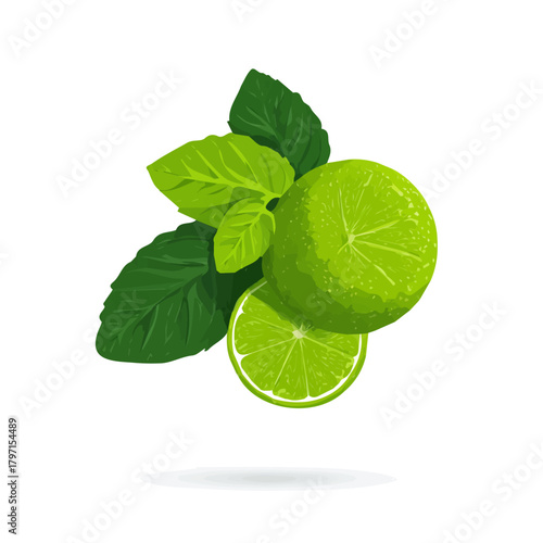 A Very Simple flat 2D illustration of lime and mint leaf isolated on a white background, vector icon set, simple design in a flat design, 2D illustration, EPS format design, simple design