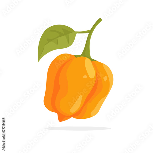 My Simple flat 2D illustration icon habanero isolated on a transparent background, vector, animation design, simple flat 2D clipart, design by me. My vector design