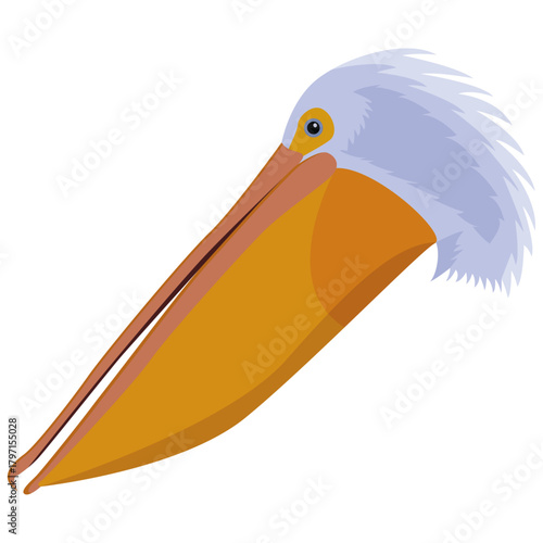 pelican beak and head vector.