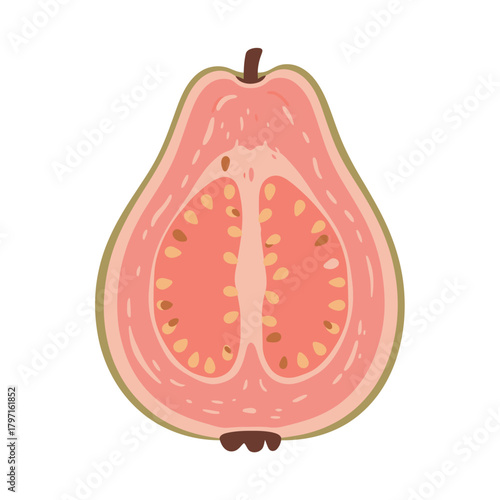 A digitally illustrated guava cut in half, showing the core, seeds, and surrounding fleshy pink segments