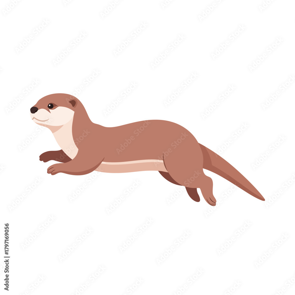 Fototapeta premium Otter Standing