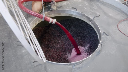 Crafting fine wine using innovative wine making machine technology