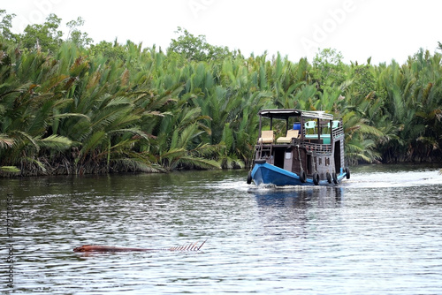 Klotok houseboat is a traditional wooden boat with a bed, kitchen and bathroom for cruising along the Sekonyer River, Tanjung Puting National Park, Kalimantan, Indonesia                               